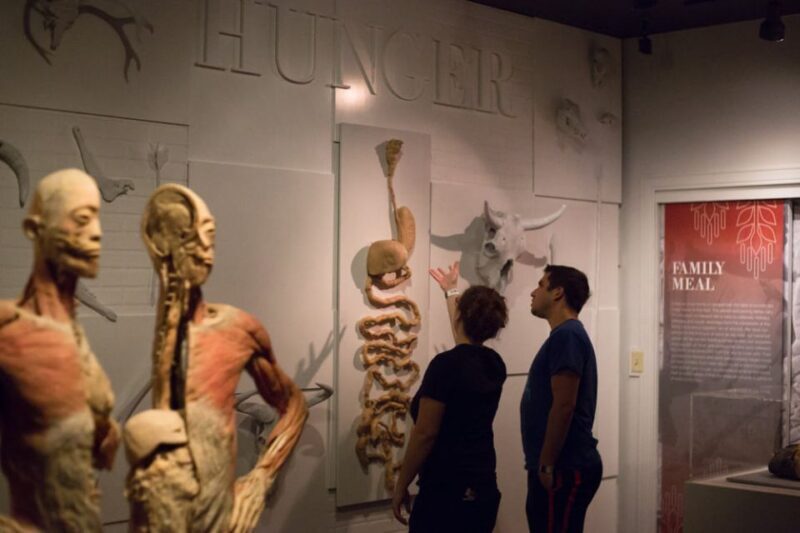 Las Vegas: REAL BODIES at Horseshoe Las Vegas Entry Ticket - Practicalities and Logistics