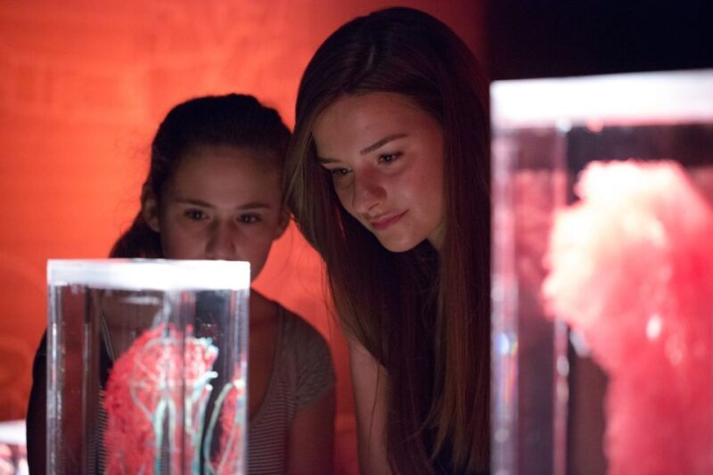 Las Vegas: REAL BODIES at Horseshoe Las Vegas Entry Ticket - Is This Experience Worth the Price?