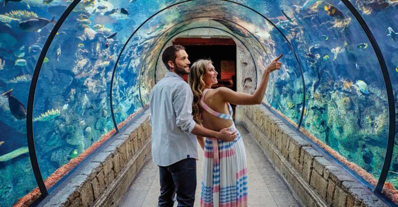 Las Vegas: Shark Reef Aquarium & VR Experience Entry Ticket - Practical Details for Visitors