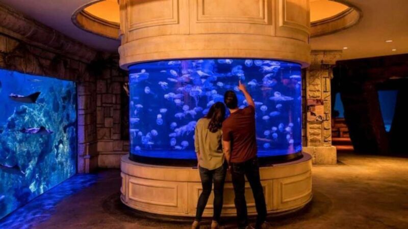 Las Vegas: Shark Reef Aquarium & VR Experience Entry Ticket - Who Should Visit?