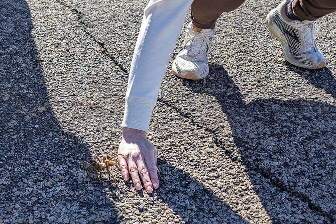 Las Vegas Small Group Backcountry Mystery Tours - FAQs