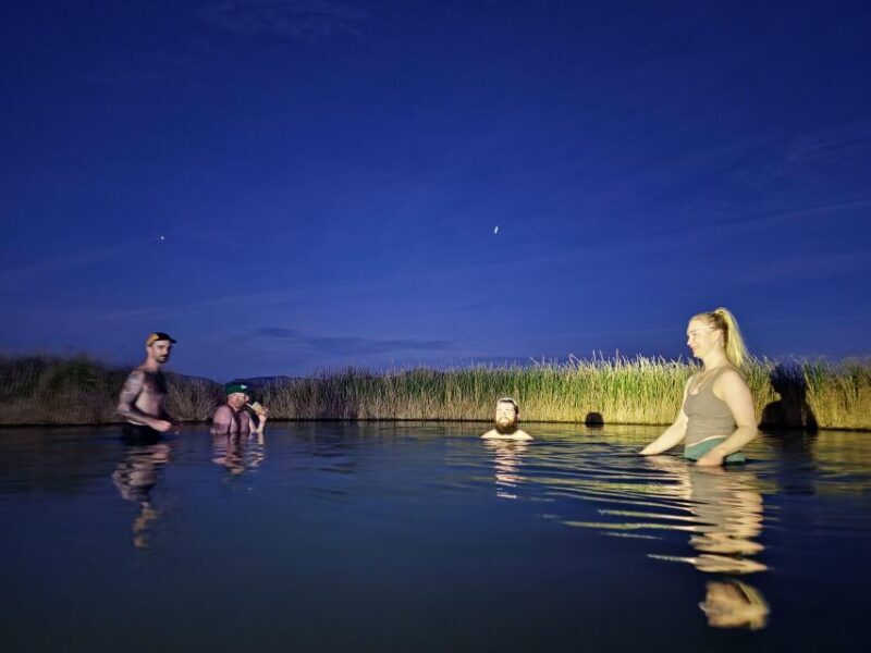 Las Vegas: Soak in a Natural Hot Springs near Death Valley - Exploring the Experience: From Las Vegas to Tecopa