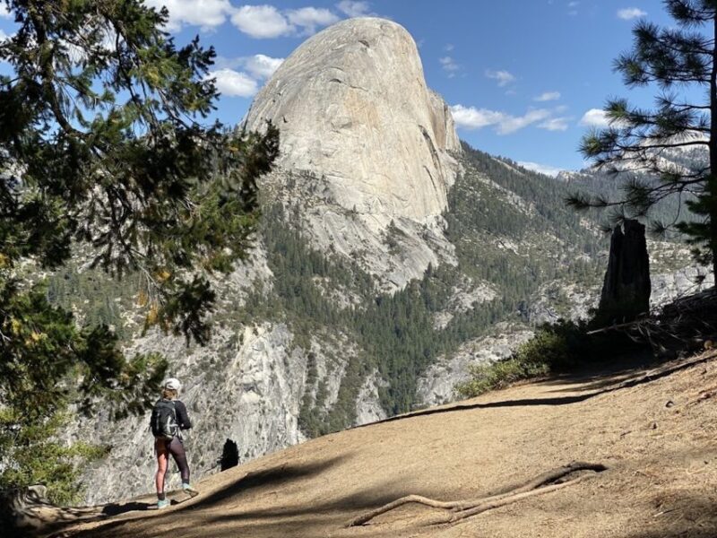 Las Vegas: Southwest USA National Parks 11-Day Trip to SF - Who Is This Tour Best For?