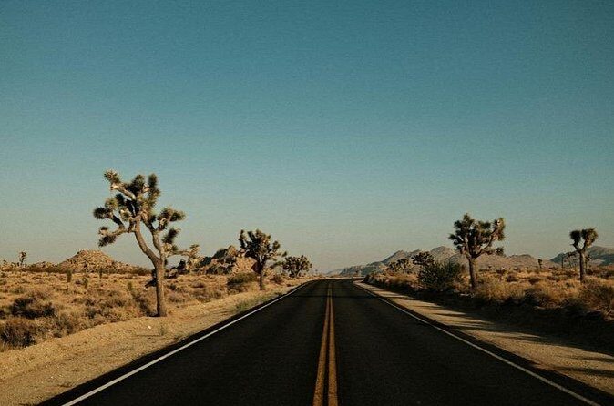 Las Vegas To Los Angeles One Way Tour Joshua Tree National Park - FAQ