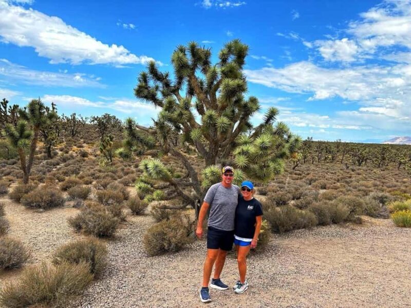 Las Vegas to Los Angeles One Way Tour via Joshua Tree NP - An In-Depth Look at the Experience