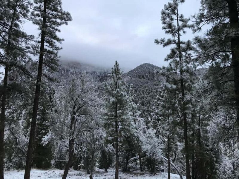 Las Vegas: Ultimate Snowplay Adventure at Mount Charleston - Snow Play and Optional Skiing or Snowboarding