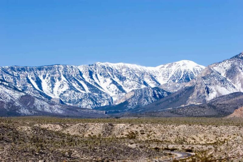 Las Vegas: Ultimate Snowplay Adventure at Mount Charleston - Authentic Feedback From Travelers