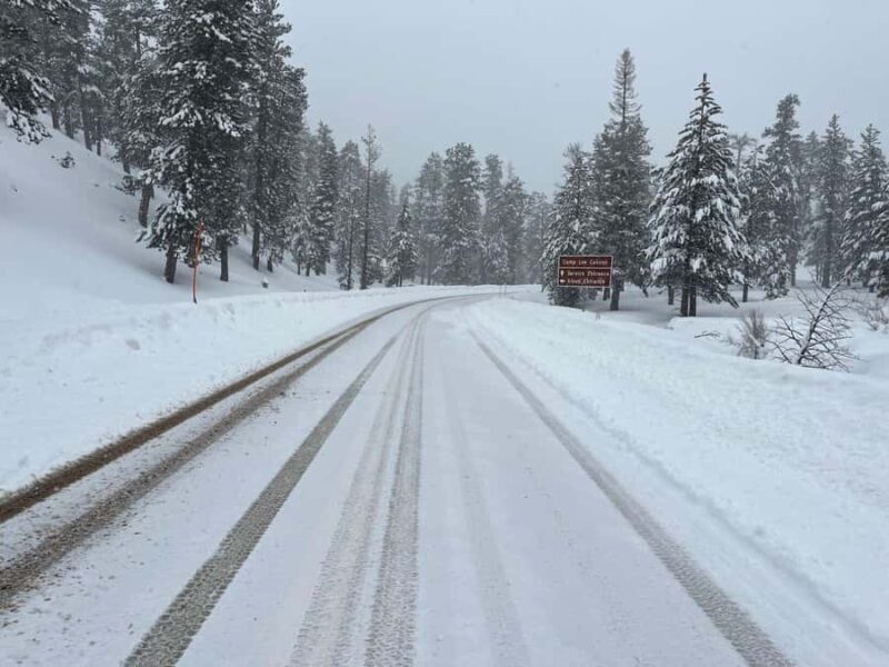 Las Vegas: Ultimate Snowplay Adventure at Mount Charleston - Final Thoughts: Who Should Consider This Tour?