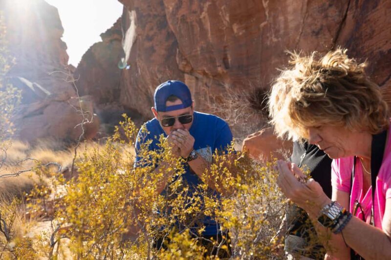 Las Vegas: Valley of Fire and Red Rock Canyon Day Trip - Who Is This Tour Best For?