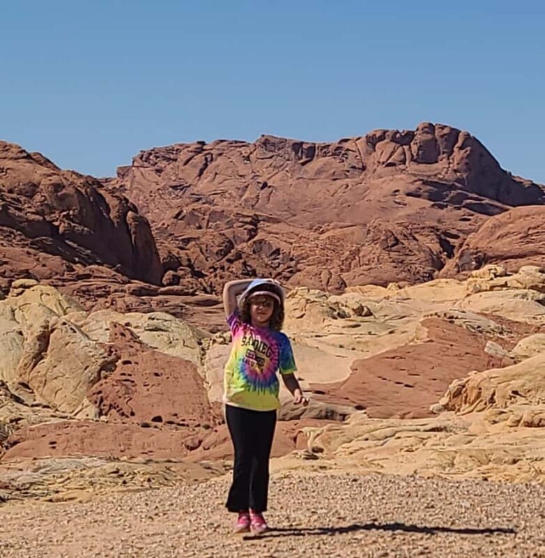 Las Vegas: Valley of Fire and Red Rock Canyon Tour - Pricing and Value