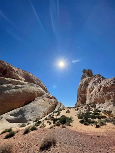 Las Vegas: Valley of Fire Guided Tour in Spanish - Exploring the Valley of Fire: What to Expect from the Tour