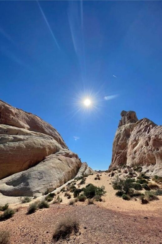 Las Vegas: Valley of Fire Guided Tour in Spanish - Authentic Insights from Past Reviewers