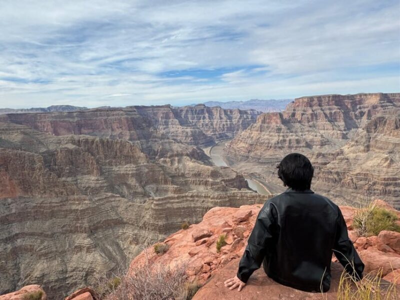 Las Vegas: West Rim, Hoover Dam, Joshua Tree, Welcome Sign - Why the Tour Works for Most Travelers