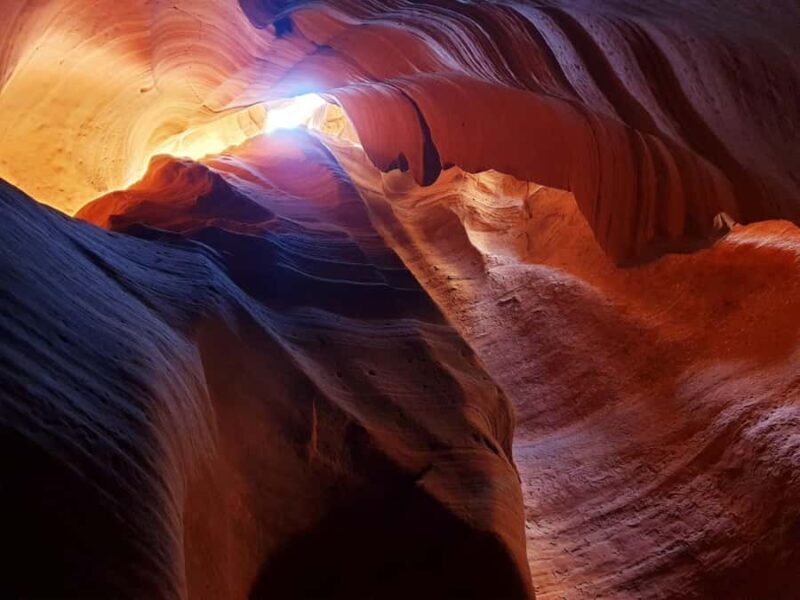 Las Vegas > Zion Bryce Grand Canyon & Antelope, Horseshoe - Why This Tour Could Be Perfect for You