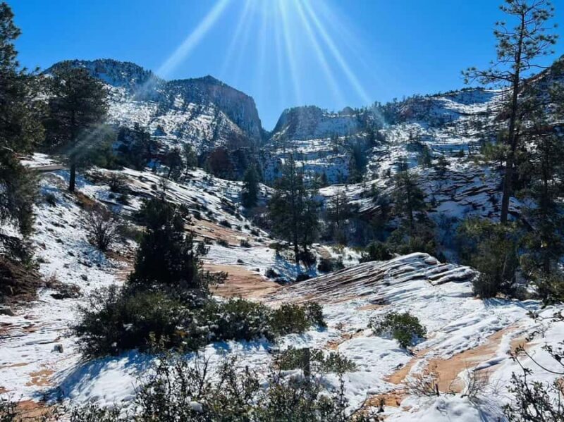 Las Vegas: Zion National Park Group Tour with Lunch - Who Will Love This Tour