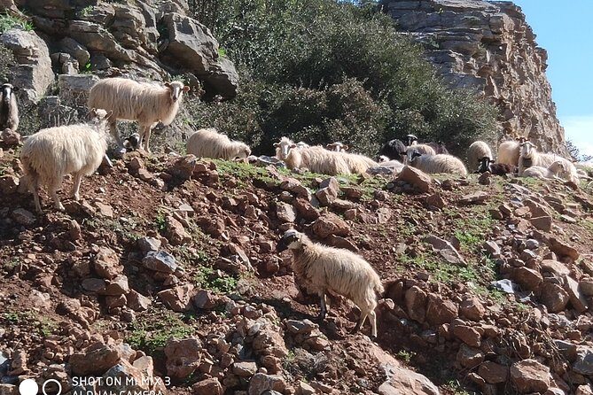 Lasithi Plateau Traditional Vilages - Frequently Asked Questions