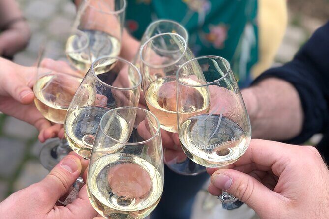 Latin Quarter Unbottled - Wine History & Tastings - Who Should Book This Tour?