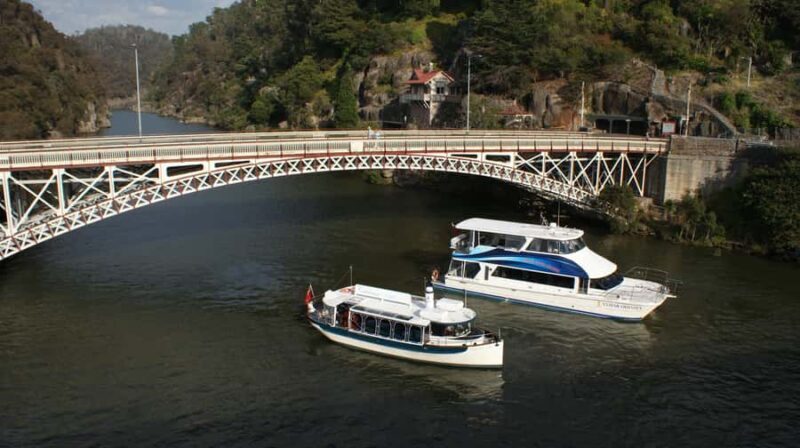 Launceston: 50-Minute Cataract Gorge Cruise - The Practicalities: What You Need to Know