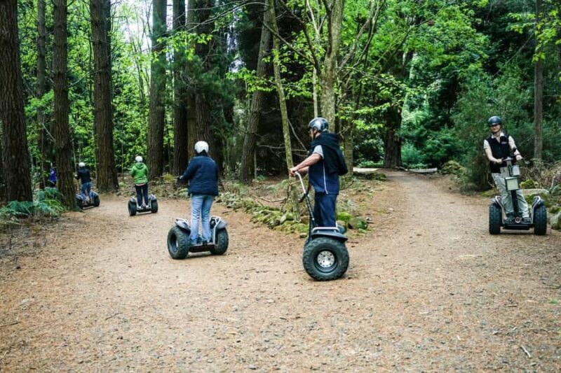 Launceston: Hollybank Forest Guided Segway Tour with Photos - An In-Depth Look at the Hollybank Forest Segway Tour