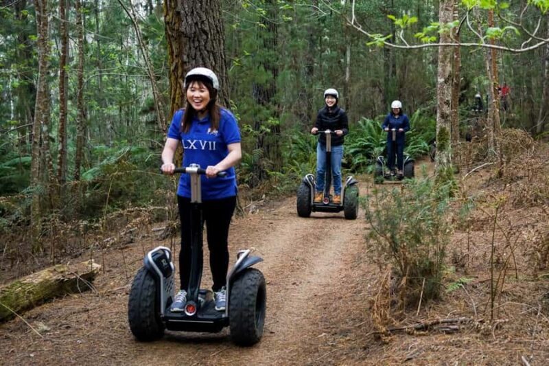 Launceston: Hollybank Forest Guided Segway Tour with Photos - FAQ