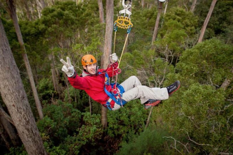 Launceston: Hollybank Forest Treetop Zip Lining with Guide - Who Should Consider This Tour?