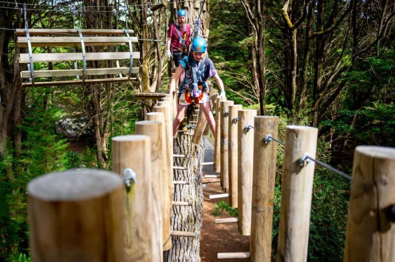 Launceston: Hollybank Tree Ropes Course - What to Expect at the Hollybank Tree Ropes Course
