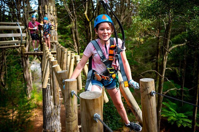 Launceston Hollybank Tree Ropes Experience - Summary: The Bottom Line