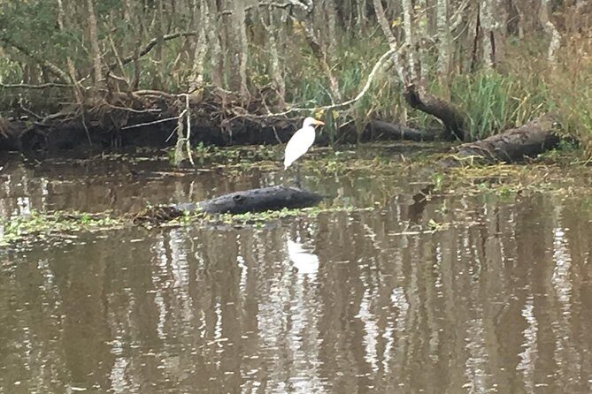 Laura Plantation & Airboat Tours - Who Will Love This Tour?