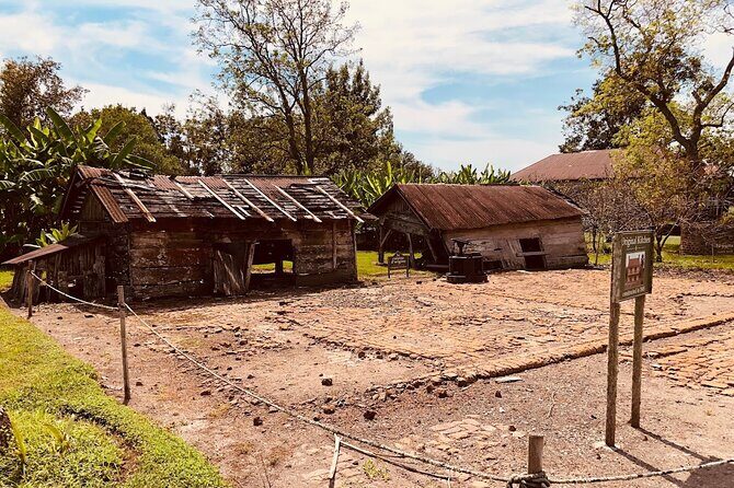 Laura Plantation Half-Day Tour from New Orleans - Practical Details and Booking