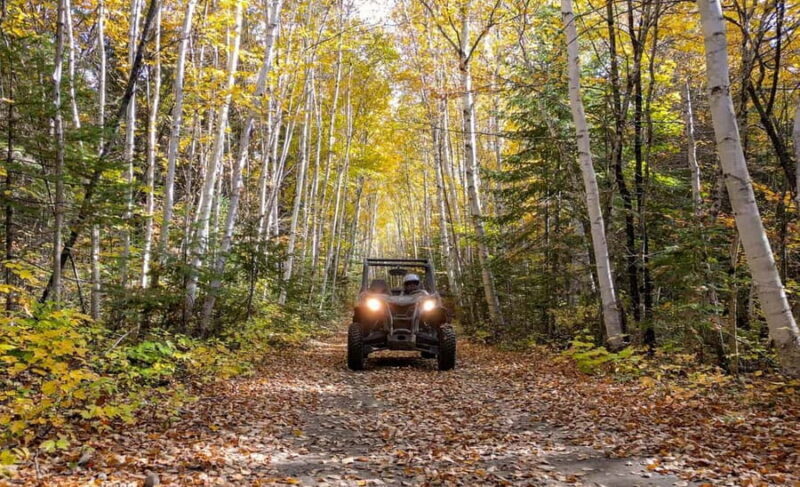Laurentians: guided buggy tour - The Stops and Turnaround Points