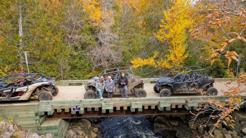 Laurentians: guided buggy tour - Safety and Comfort