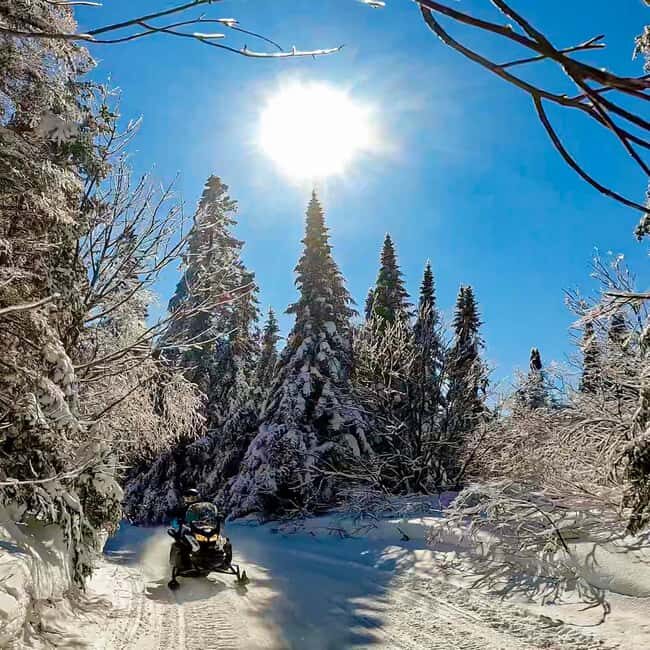 Laurentians: Snowmobile Guided Tour - The Experience: Riding and Scenic Highlights