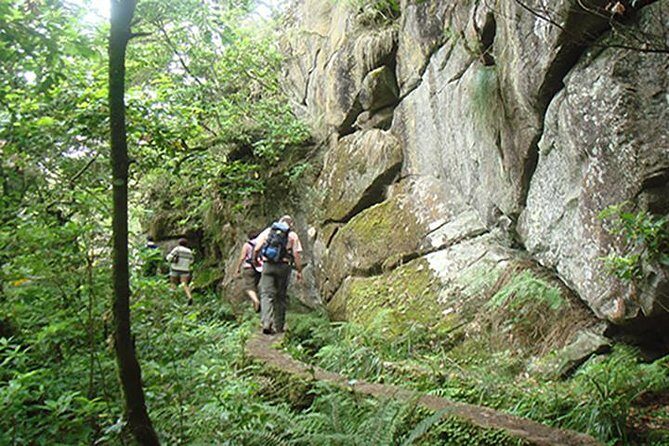 Laurissilva Forest Walk - Final Thoughts