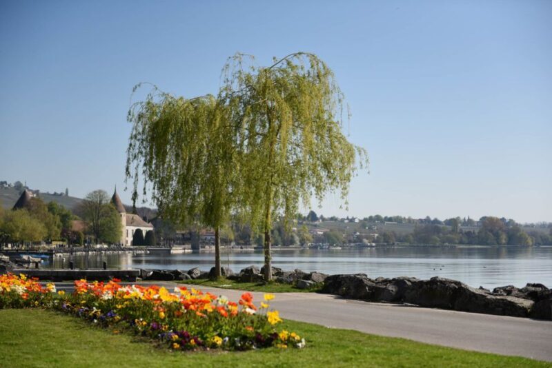 Lausanne, Montreux and Chillon: Private Trip from Geneva - Final Return to Geneva