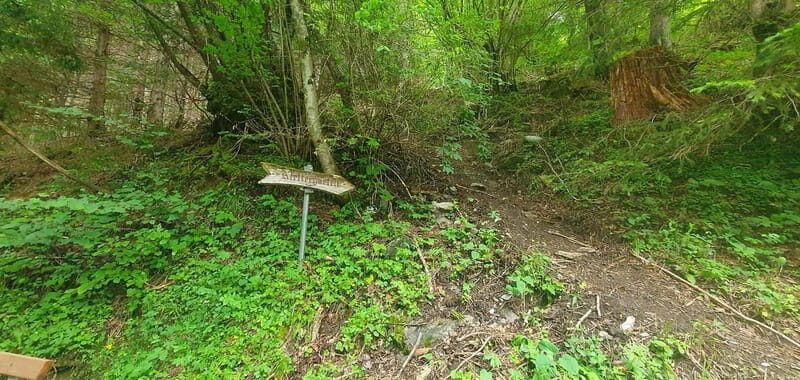 Lauterbrunnen: Private Walking Tour with an Irish Guide - Key Points