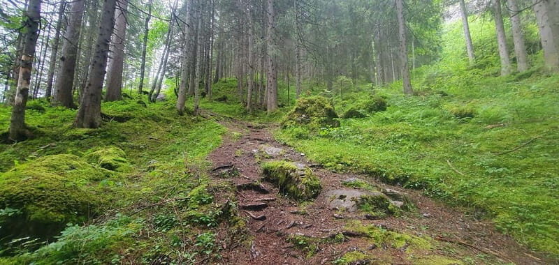 Lauterbrunnen: Private Walking Tour with an Irish Guide - Practical Considerations