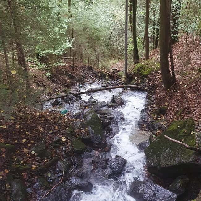 Lauterbrunnen: Private Walking Tour with an Irish Guide - Final Thoughts