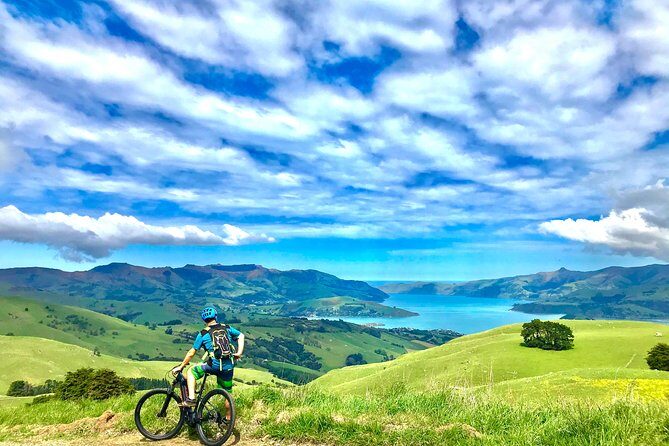Lava Loop- Guided electric mountain bike tour in Akaroa - Key Points