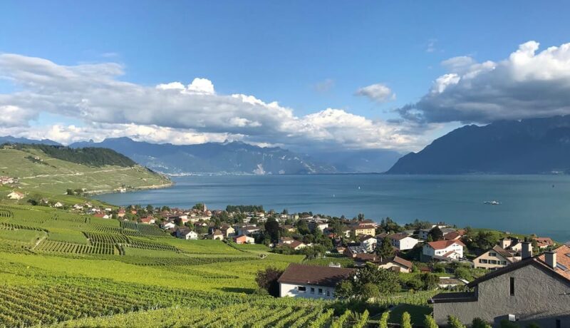 Lavaux: Vineyard Experience - An In-Depth Look at the Lavaux Vineyard Experience