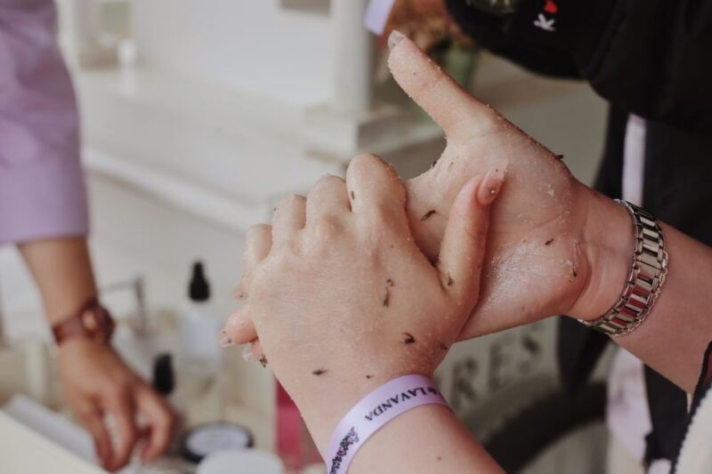 Lavender Experience Valle de Guadalupe - Guided Field Tour - The Setting and Atmosphere