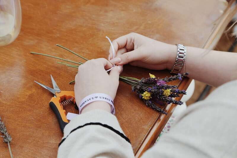 Lavender Experience Valle de Guadalupe - Guided Field Tour - Practical Details
