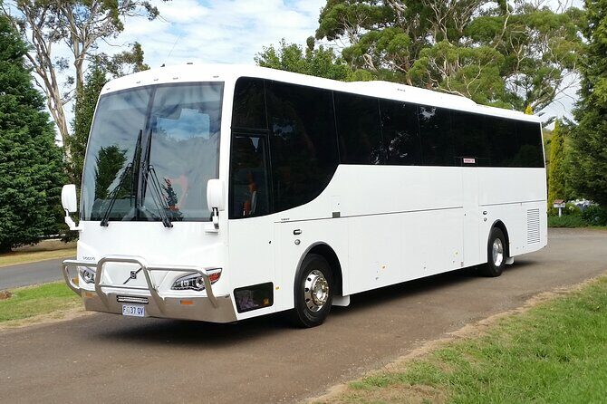 Lavender Farm - Bridestowe Festival of Flowers - The Sum Up