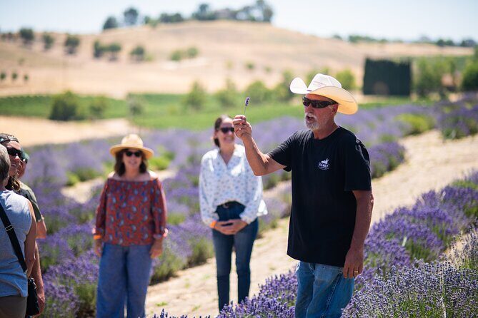 Lavender Farm U-Pick Day Pass - An Authentic and Fragrant Experience in San Luis Obispo