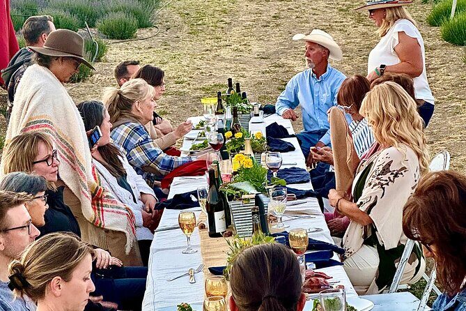 Lavender Farm U-Pick Day Pass - Authentic, Affordable, and Scenic—Who Should Book?