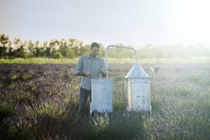 Lavender Field & Distillery Tour between Nimes & Arles - The Value and Overall Impression