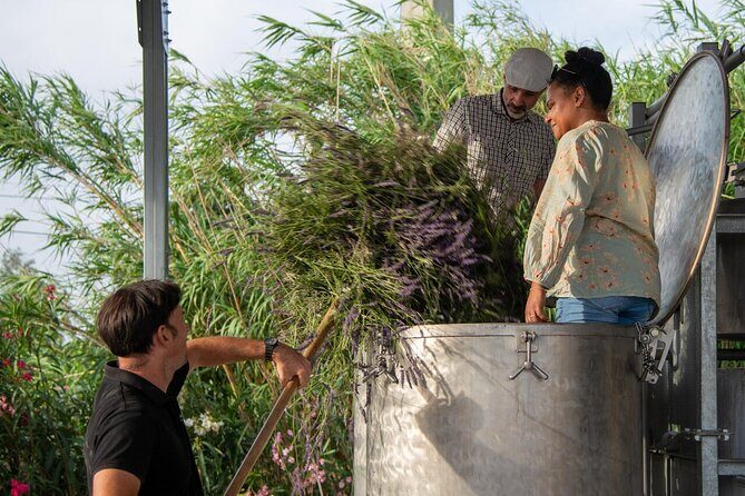Lavender Harvesting and Distillation Workshop in Bellegarde - Equipment and Additional Options