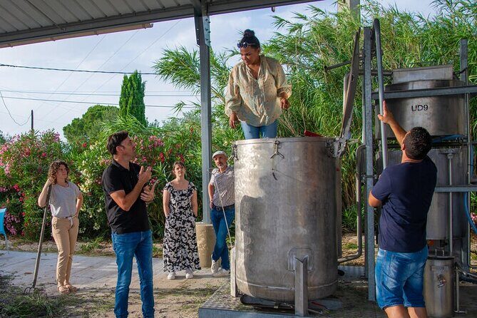 Lavender Harvesting and Distillation Workshop in Bellegarde - The Authenticity and Value