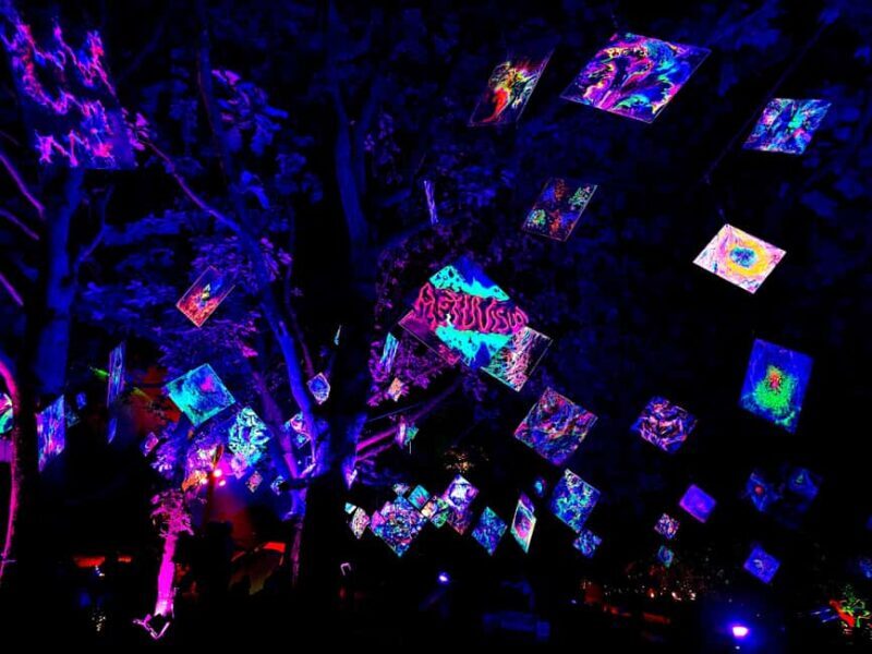 Laxenburg Palace Gardens: ILLUMINA Austria's biggest light garden - ticket - Key Points