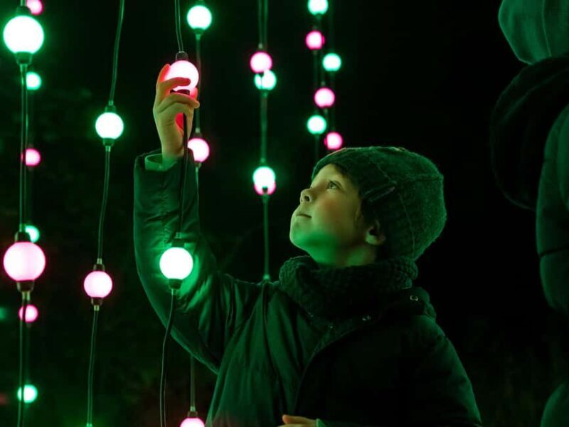 Laxenburg Palace Gardens: ILLUMINA Austria's biggest light garden - ticket - The Experience in Detail