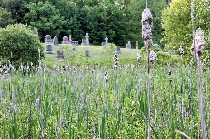 Layers of Natural History: Picton Nature Self-Guided Audio Tour - Practical Details and Value